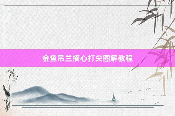 金鱼吊兰摘心打尖图解教程