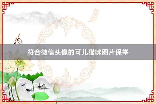符合微信头像的可儿猫咪图片保举